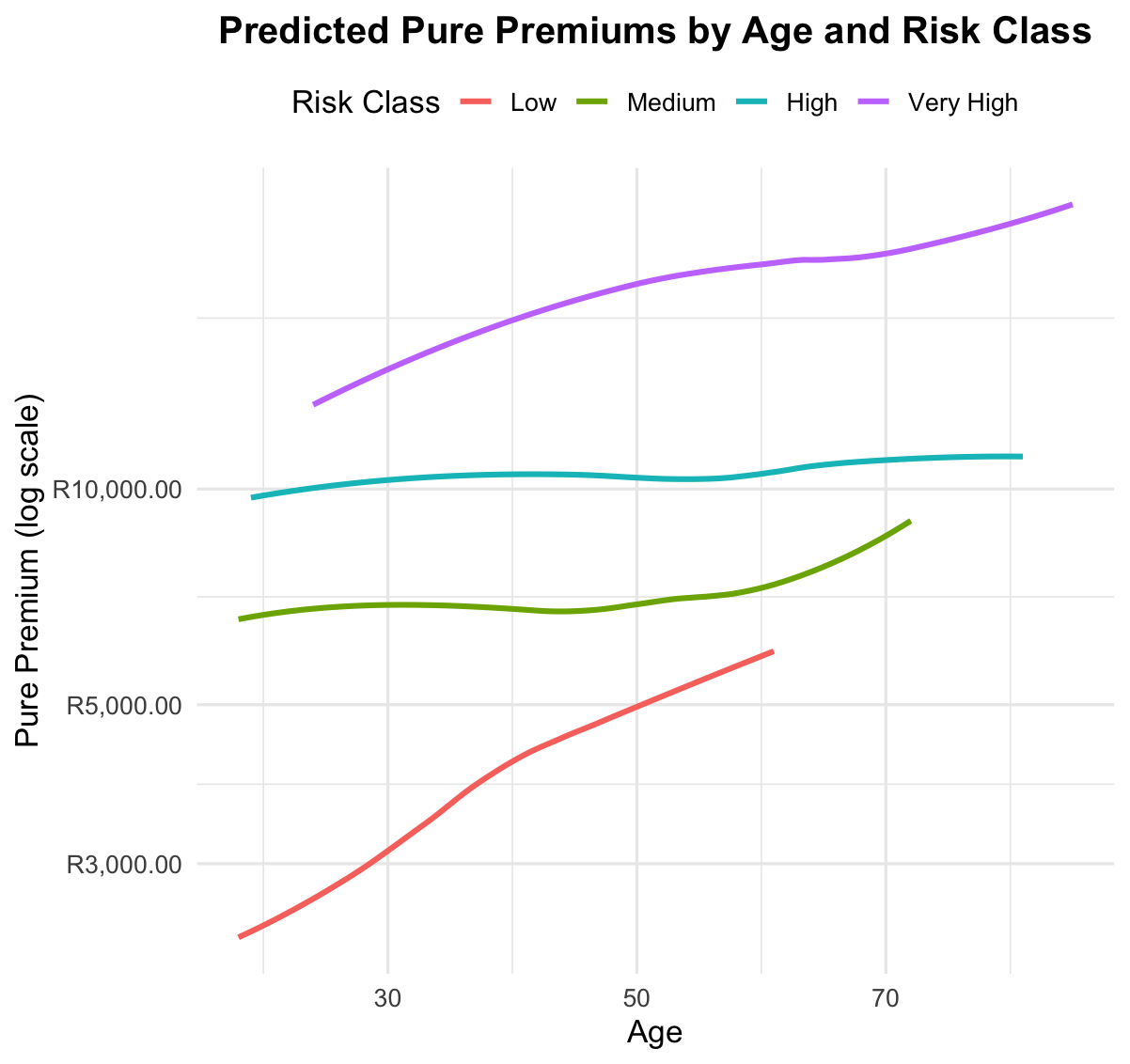 Pure Premium by Age & Risk